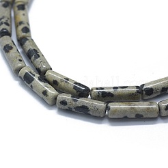 Natural Dalmatian Jasper Beads Strands&nbsp;G-F631-D23