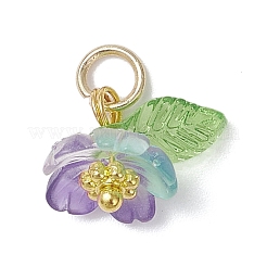 Transparent Resin & Acrylic Pendants&nbsp;PALLOY-JF04358