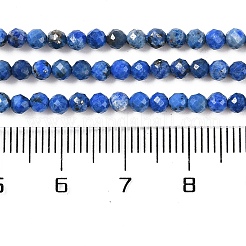 Natural Lapis Lazuli Beads Strands&nbsp;G-L587-A03-02