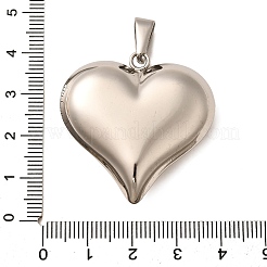 304 Stainless Steel Pendants&nbsp;STAS-R229-04A-P