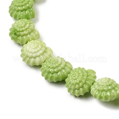 Synthetic Coral Dyed Beads Strands&nbsp;SHEL-Z003-04C-02