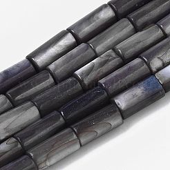 Natural Freshwater Shell Beads&nbsp;SHEL-R047-01