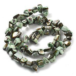 Dyed Natural Trochus Shell Beads Strands&nbsp;BSHE-Z006-01A