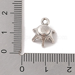 Tibetan Style Alloy Charms&nbsp;TIBE-Q090-28AS