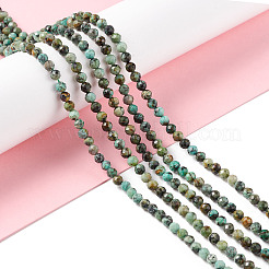 Natural African Turquoise(Jasper) Beads Strands&nbsp;X-G-F717-01
