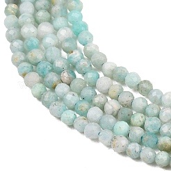 Natural Amazonite Bead Strands&nbsp;G-P279-42-3mm