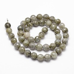 Natural Labradorite Beads Strands&nbsp;G-G736-04-8mm