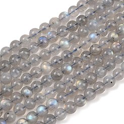 Natural Labradorite Beads Strands&nbsp;G-H337-A02-03
