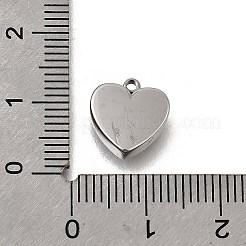 304 Stainless Steel Charms&nbsp;STAS-F318-11A-P