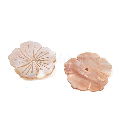 Natural Freshwater Shell Carved Beads&nbsp;SH-CBACA76-07