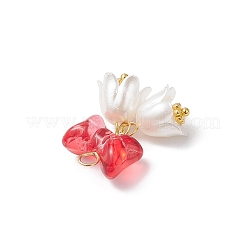 Transparent Spray Painted Glass Pendants&nbsp;PALLOY-JF04500