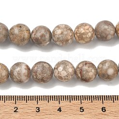 Natural Maifanite/Maifan Stone Beads Strands&nbsp;G-R345-10mm-40-1
