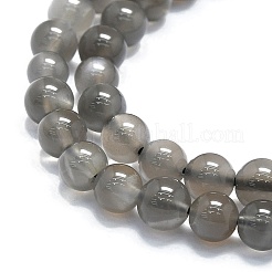 Natural Grey Moonstone Beads Strands&nbsp;G-A245-A05-01