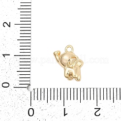 Brass Charms&nbsp;ZIRC-P122-04G
