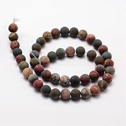 Natural Polychrome Jasper/Picasso Stone/Picasso Jasper Frosted Bead Strands&nbsp;G-O155-03A-10mm