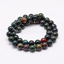 Natural Indian Bloodstone Beads Strands&nbsp;G-P257-07-6mm