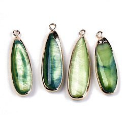 Natural Freshwater Shell Pendants&nbsp;SHEL-R047-03B