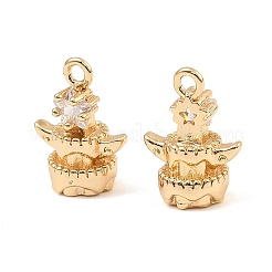 Brass Micro Pave Cubic Zirconia Charms&nbsp;KK-C155-17G-01