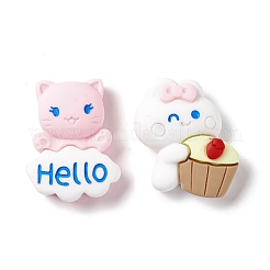 Spray Painted Resin Cabochons&nbsp;RESI-G031-21