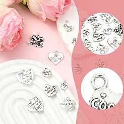 15Pcs 15 Styles Tibetan Style Alloy Pendants&nbsp;FIND-YW0011-88