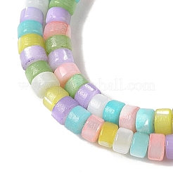 Natural Trochid Shell/Trochus Shell Beads Strands&nbsp;BSHE-H018-04