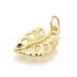 Brass Pendants&nbsp;KK-L225-030G