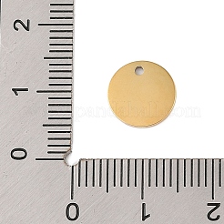 304 Stainless Steel Charms&nbsp;STAS-P377-04G-A
