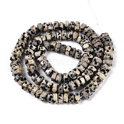 Natural Dalmatian Jasper Beads Strands&nbsp;G-N357-14A-05