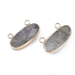 Natural Labradorite Pendants&nbsp;G-S344-44C