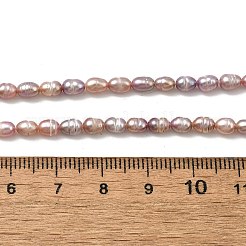 Natural Cultured Freshwater Pearl Beads Strands&nbsp;PEAR-I007-01L-02