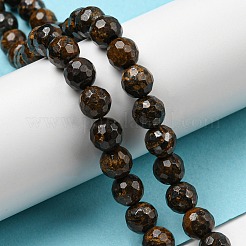 Natural Bronzite Beads Strands&nbsp;G-E571-42A