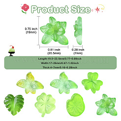 70Pcs 7 Styles Acrylic Cabochons&nbsp;MACR-CJ0002-42