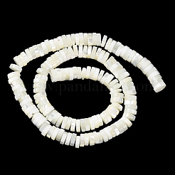 Natural Trochus Shell Beads Strands&nbsp;BSHE-E030-04