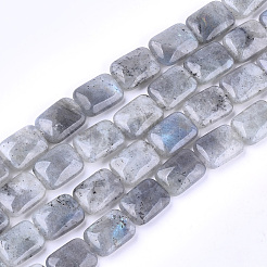 Natural Labradorite Beads Strands&nbsp;X-G-T121-13