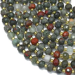 Natural African Bloodstone Beads Strands&nbsp;G-K389-E80-01
