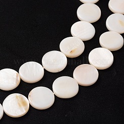Natural White Shell Beads Strands&nbsp;X-PBB251Y-2