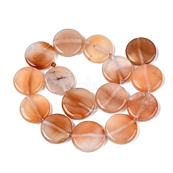 Dyed Natural Agate Beads Strands&nbsp;G-Q606-23F-A01