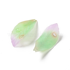 Opaque Acrylic Pendants&nbsp;SACR-C006-01C