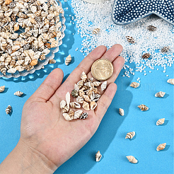 100g Natural Shell Beads&nbsp;BSHE-LT0001-04