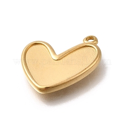 304 Stainless Steel Pendants&nbsp;STAS-C119-14G