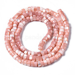Natural Trochus Shell Beads Strands&nbsp;SHEL-S278-027H