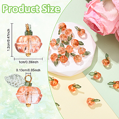 20Pcs Transparent Glass Charms&nbsp;PALLOY-YW00094