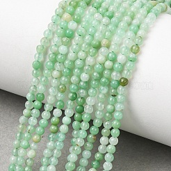 Natural Chrysoprase Beads Strands&nbsp;G-H358-A04-3mm-01