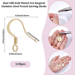 120Pcs 316 Surgical Stainless Steel French Earring Hooks&nbsp;STAS-BBC0010-94