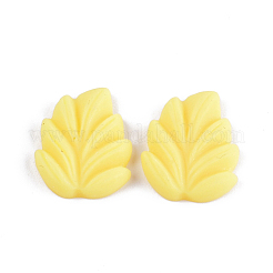 Resin Cabochons&nbsp;X-CRES-T010-24