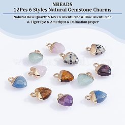 12Pcs 6 Styles Natural Gemstone Charms&nbsp;G-NB0003-74