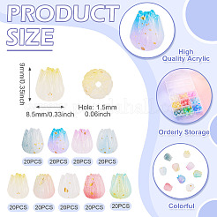 180Pcs 9 Colors Opaque Acrylic Beads&nbsp;OACR-TA0004-80