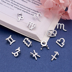 24Pcs 2 Sets Zinc Alloy Jewelry Pendant Accessories&nbsp;FIND-FW0001-08P