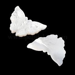 Natural White Shell Carved Cabochons&nbsp;SSHEL-I026-30