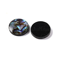 Natural Paua Shell Epoxy Resin Cabochons&nbsp;SSHEL-S279-01A